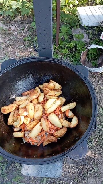 Курица с овощами, отлично😉👍👨🍳 смотреть онлайн