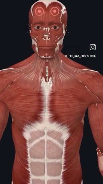 как связана голова и попа #психология #coralmine #здоровье # смотреть онлайн