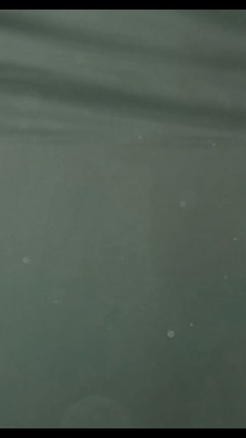 Купание в море, точнее хождение по дну Анапа 2024 смотреть онлайн