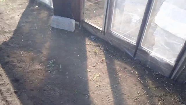 Славянск. Опрыскиваем персик. Высаживаем рассаду. Сее? смотреть онлайн