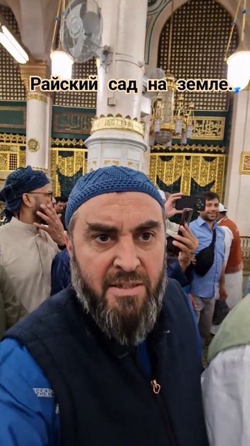 Райский сад на земле. #шортс #медина