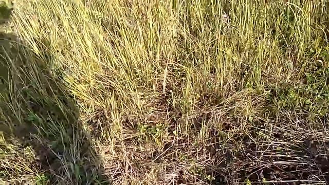 Хардкорный вход в портал