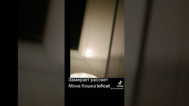 Замирает рассвет .Музыка, слова, исполнение Мон Кошка l смотреть онлайн