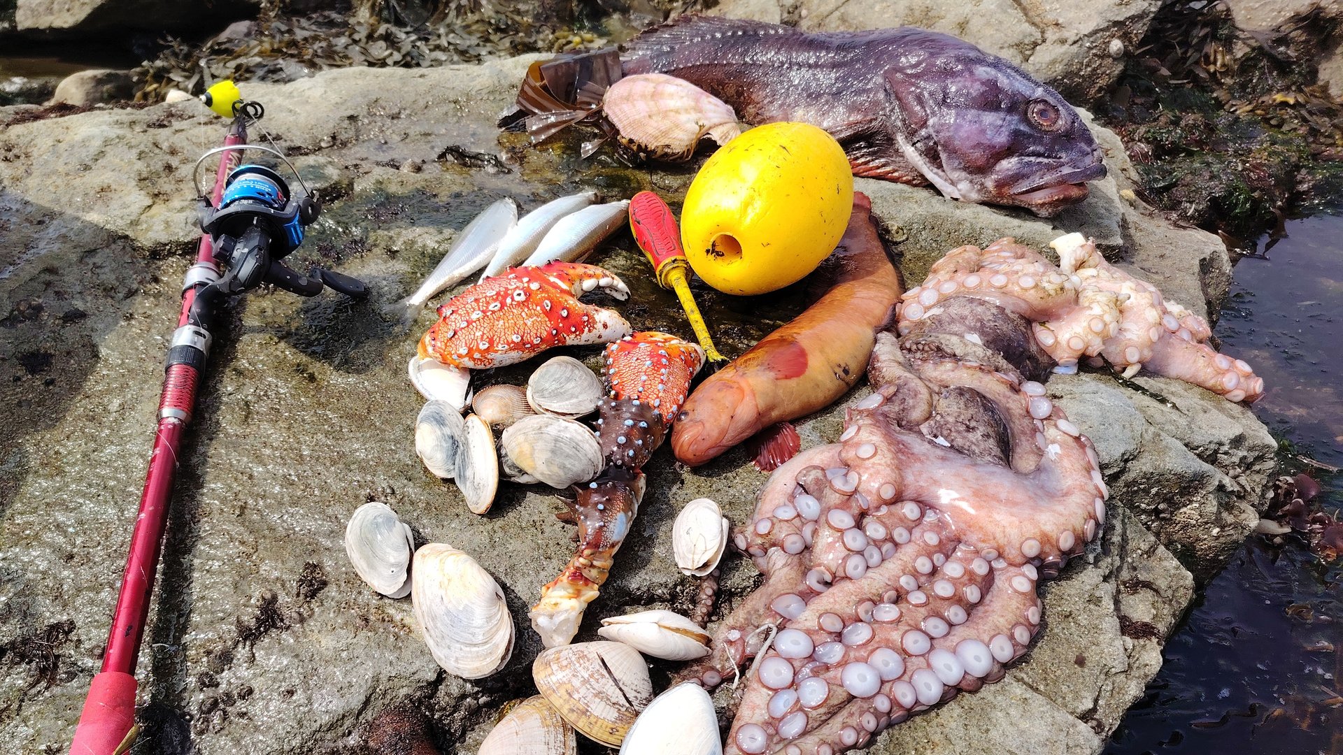 Отдых на море | Рыбалка на удочку | Морепродукты | Сахалин смотреть онлайн