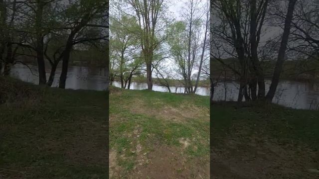 Люблю природу, вдохновляет #оптинапустынь #россия #при