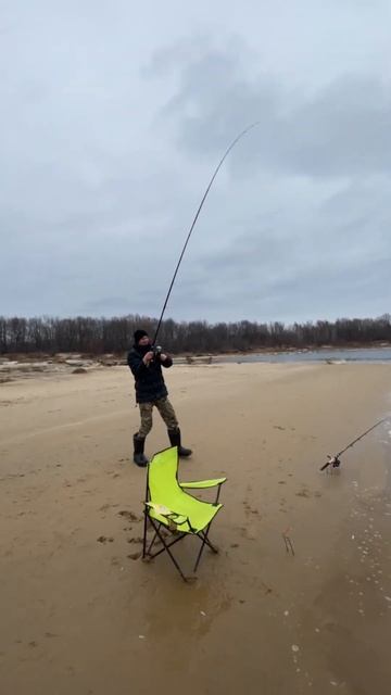 ВСЕ МЫСЛИ О РЫБАЛКЕ, В ГОЛОВЕ МЕСТО НЕТ !!! #рыбалка #при? смотреть онлайн