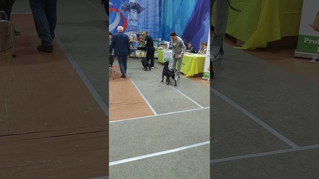 25 апреля 2023 г. смотреть онлайн