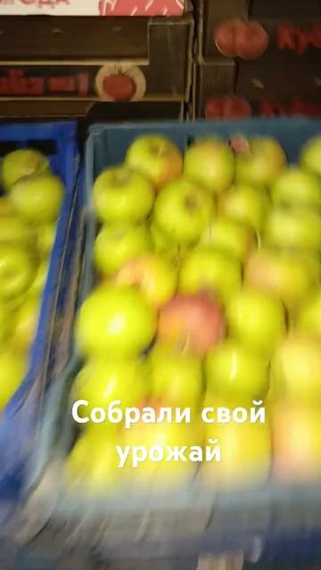 Как хорошо когда есть такие сады дома, где можно собра? смотреть онлайн