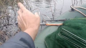 река Ёлнать,путешествие в несколько дней и бешеный кл?