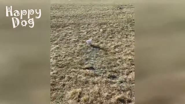 Скорость до отсечки)