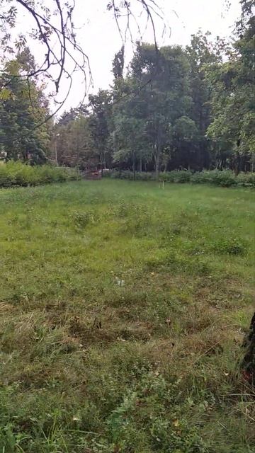 У берез и сосен #жодино смотреть онлайн