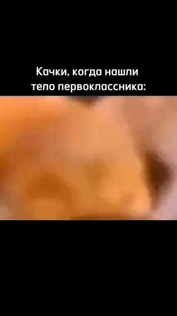 Собираем спортиков #gym #gymlife #спорт #зал #жим #прикол #уче смотреть онлайн