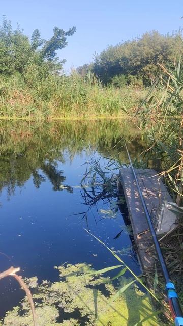 #Рыбалка 🐠 с удочкой и #рыбалочка 🐟 на озере в жаркий