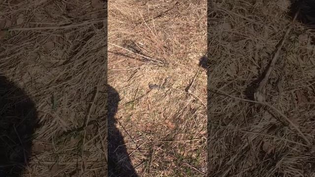 Новая Земля продолжение! смотреть онлайн