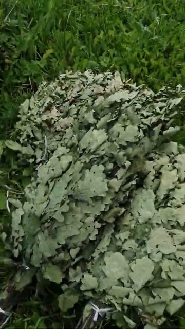 Волжский дубовый веник 2021 смотреть онлайн