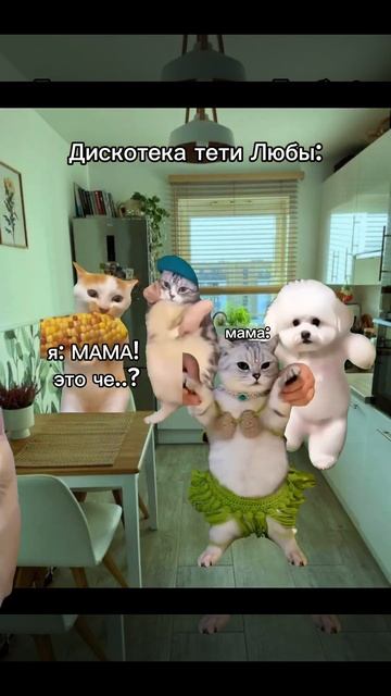 А у вас есть брат или сестра??? #мемы #коты #собаки #рек м? смотреть онлайн