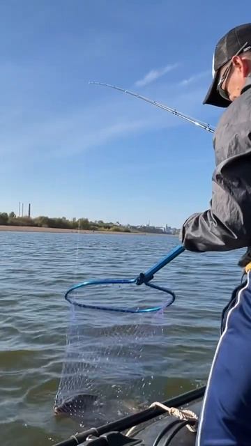 Щука 4кг на джиг в сентябре. Киров Река Вятка