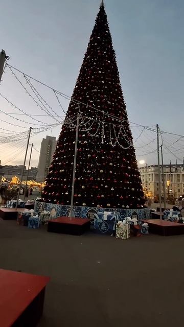 Владивосток/Горки для детей всех возрастов на площади смотреть онлайн