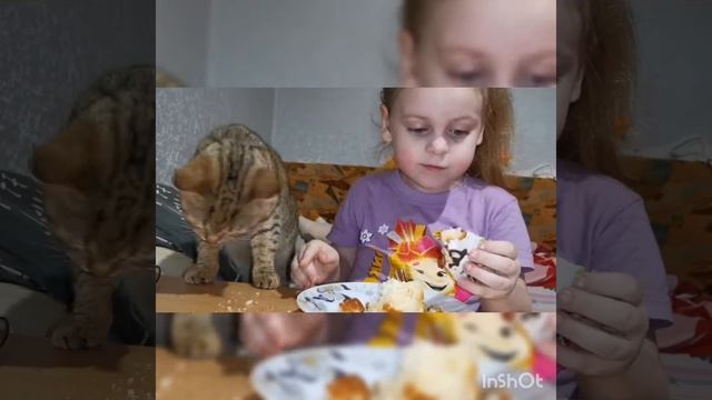 КУЛИЧИ ЕДЯТ ВСЕ / ПАСХА смотреть онлайн