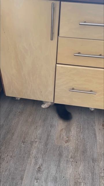 Не знаю что там , но что-то есть😁#fashion #style смотреть онлайн