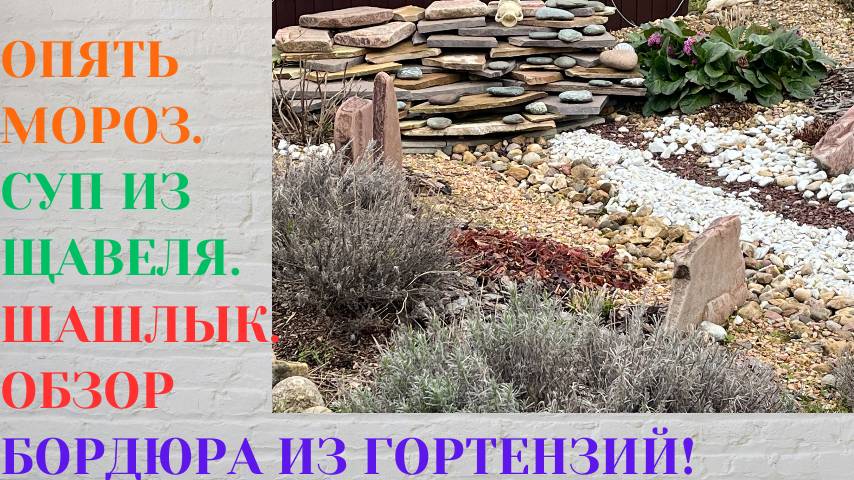 ОПЯТЬ МОРОЗЫ / ШАШЛЫК ДОМА / ИЗЮМ ИЗ КРЫЖОВНИКА / КОЛЛЕКЦИЯ ХРИЗАНТЕМ