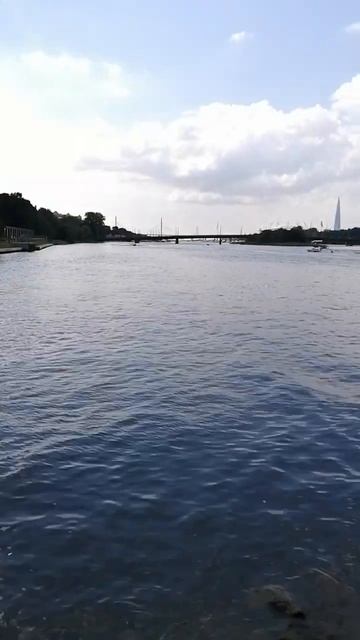 Угол реки Ждановки и Малой Невки . Вид с Леонтьевского смотреть онлайн