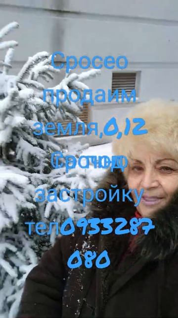 ель с первым снегом смотреть онлайн