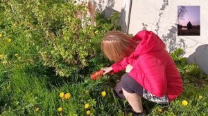 Ножницы кусторез аккумуляторный patriot мой отзыв и первая эксплуатация. Оценка ⭐⭐⭐⭐