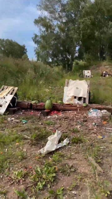 Граната против арбуза