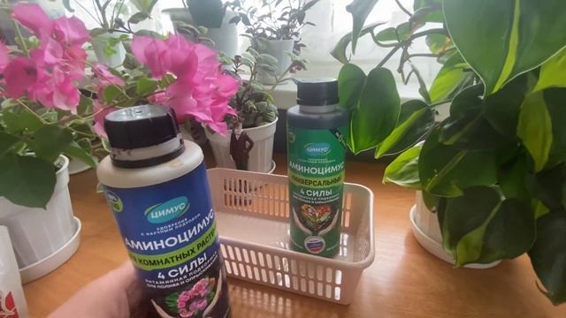 Аминоцимус. Чем я удобряю свои комнатные растения. смотреть онлайн