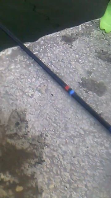 Карась на перловку с пивом