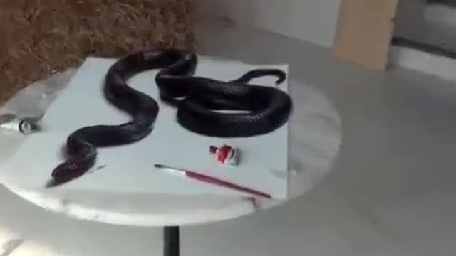 Великолепные 3D рисунки смотреть онлайн