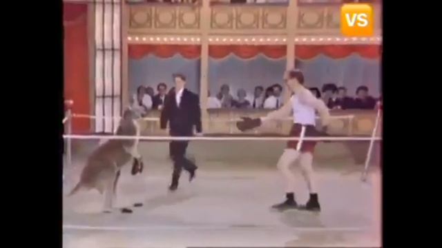 СМОТРЕТЬ ПРИКОЛЬНОЕ ВИДЕО.