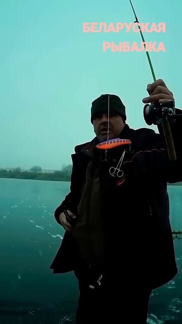 #fishing #fish #nature #fisherman #walleye #fishingvideo #fishinglife #icefishing #ice #zander #в?