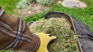 I.Z. лив: ДАЧА, НЕПАРНЫЙ ШЕЛКОПРЯД, СТАЛКЕР