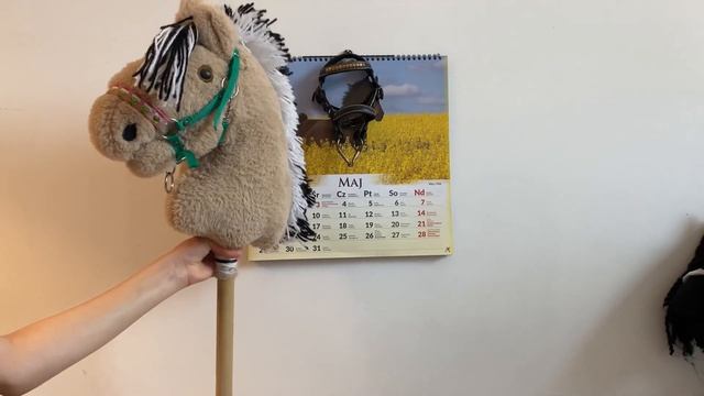 Мои hobby horse и я смотреть онлайн