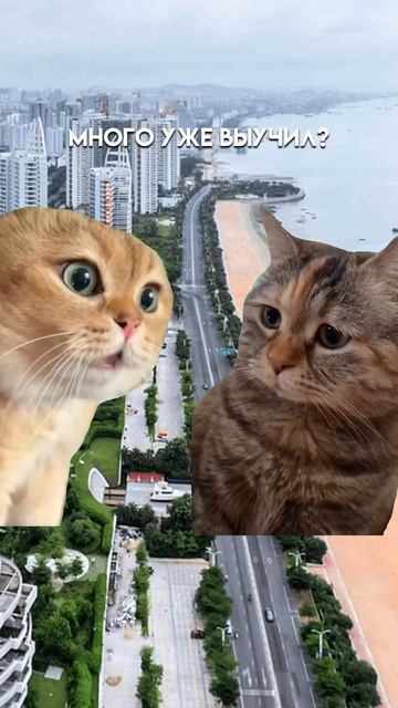 Жиза или нет? #китай #китайскийязык #китайский