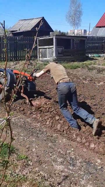 Мотоблок. Весенняя вспашка. 20.05.24. смотреть онлайн