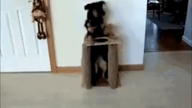 смешное видео с музыкой про друзей смотреть онлайн