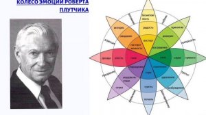 Чем чувства отличаются от эмоций? Колесо эмоций