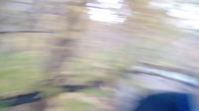 Сериал Лесные рейнджеры серия 3 финал может быть... смотреть онлайн