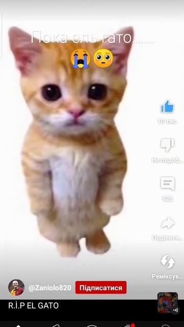 ми будемо тебе помнить 😔 хвилина молчаня для ель гата смотреть онлайн