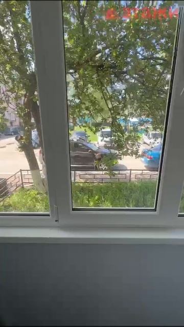 WhatsApp Video 2025-05-14 at 17.03.28 смотреть онлайн