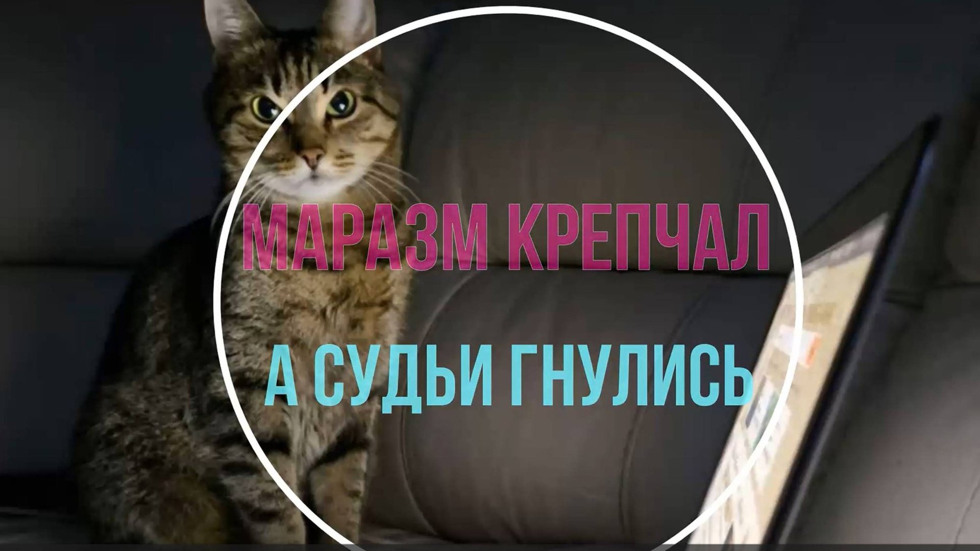 Маразм крепчал и судьи гнулись смотреть онлайн
