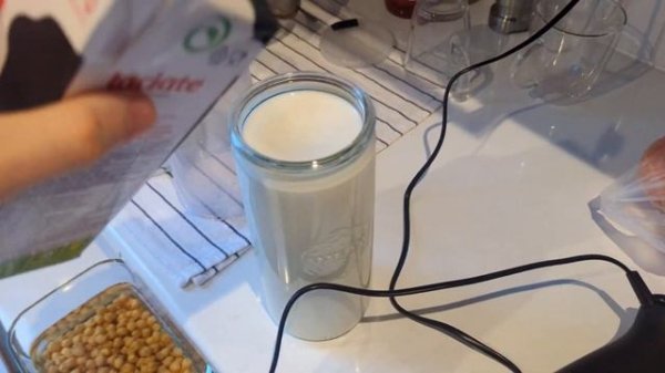 Йогурт из лактобактерий Reuteri ошибки и особенности #reuter