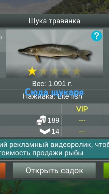 на спиннинг пошел прост половить