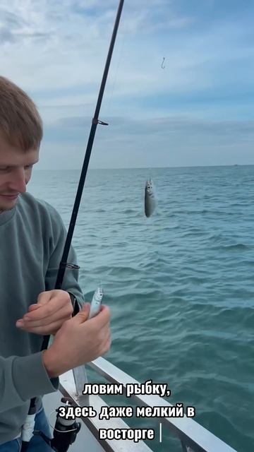 МОРСКАЯ РЫБАЛКА .  СОЧИ