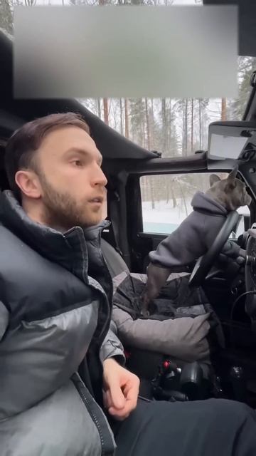 Собака - лучший друг человека🐶👍 смотреть онлайн