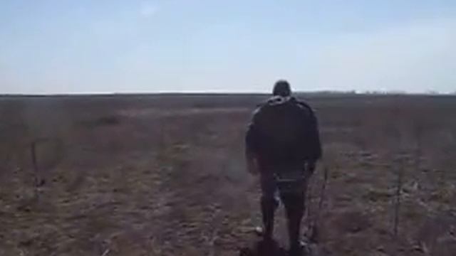 муза весна16 состязания смотреть онлайн