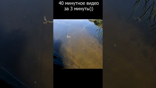 Поход по реки ИСТРА, кратко..тест #путешествия #рыбалка смотреть онлайн